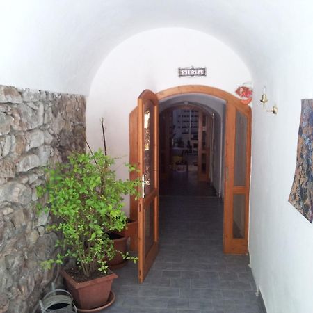 Pension Siesta Třeboň Extérieur photo